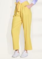 Tesettür giyim SARI T 3218 Bwest-Bol Kesim Pantolon