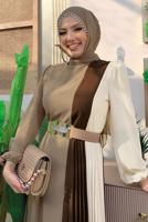 Tesettür giyim VİZON ÜÇ RENKLİ PİLİSELİ ELBİSE T 2263